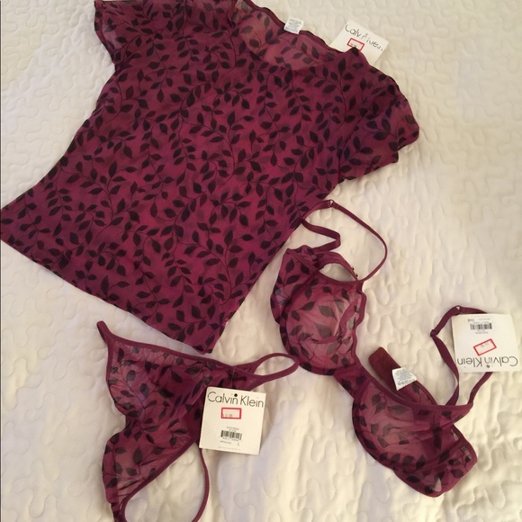Calvin Klein Other - 3pc sheer Calvin Klein bra, panty and top